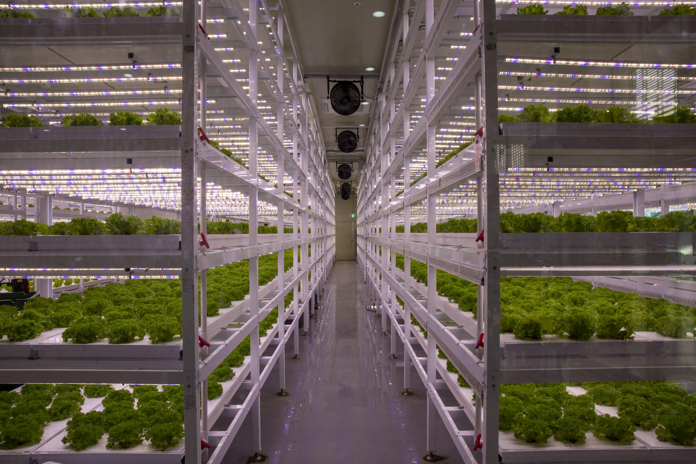 Department of Smart-farm